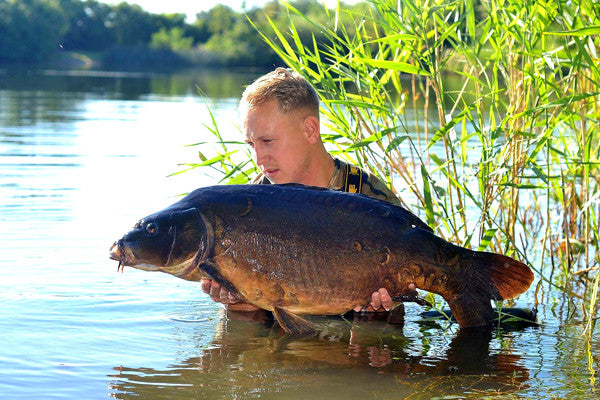 Linch Hill Stunner for Aaron Seldon