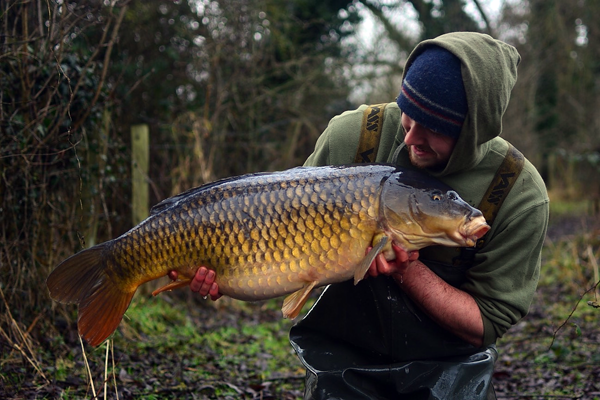 Berkshire belter for Dan Handley