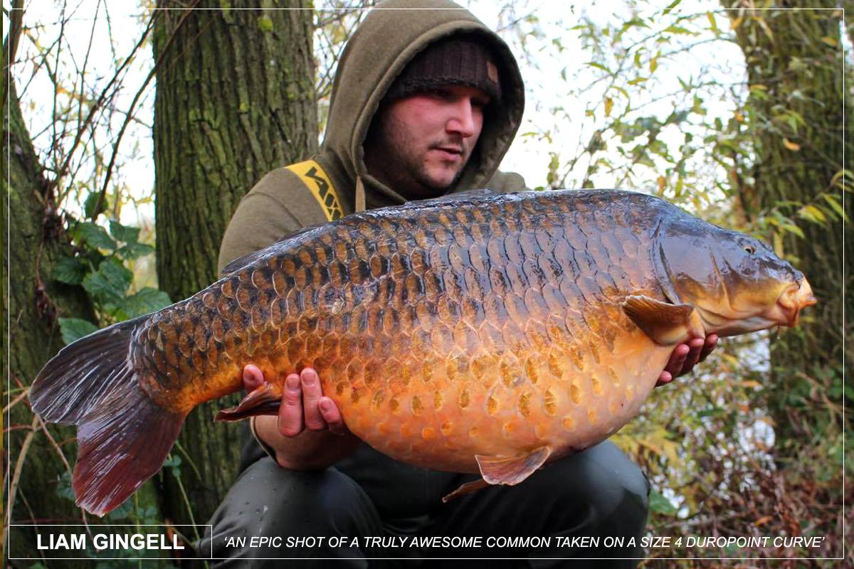 Mega common for Liam Gingell