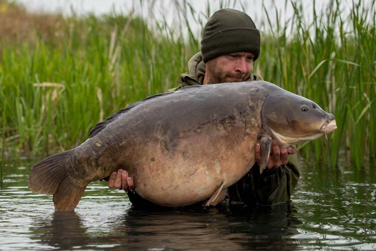 U.K upper 40 mirror - From under the radar - Lee Carpenter