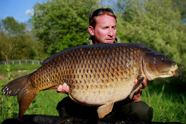 Superb Farriers Common for Stuart Morris