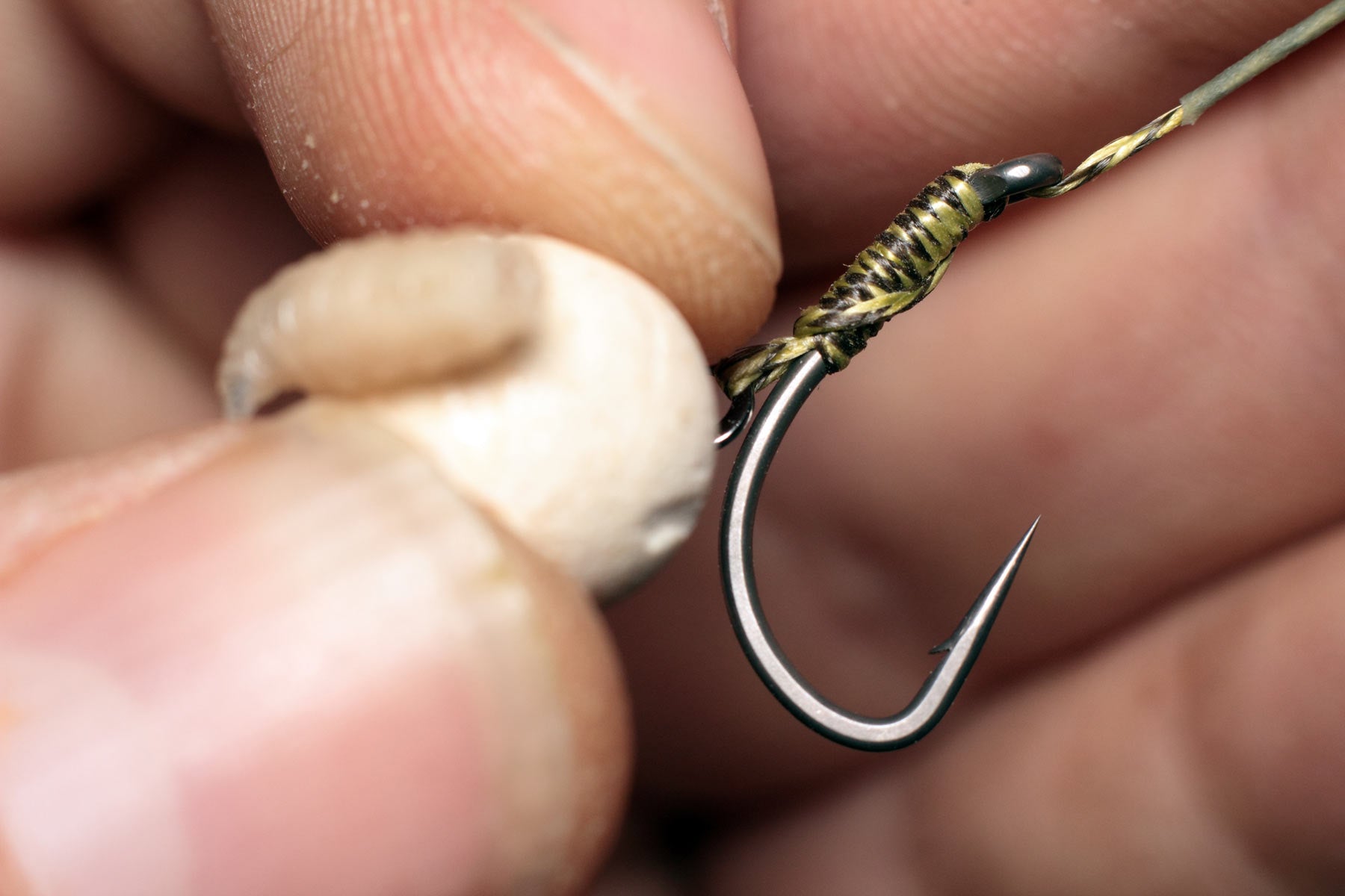A winter winner: Using maggots with the Horton rig