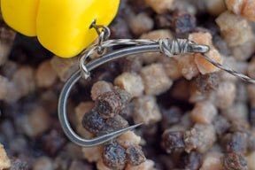 A slip D rig Tied up with Tufflex supple braid, a Size 6 Duropoint Curve shank and two grains of fake corn sits on top of mixed pellets, perfect for PVA bag rigs. What Carp could resist.